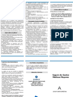 Triptico GMM Avanzia PDF