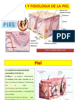 Anatomiayfisiologiadelapiel 131114122848 Phpapp02