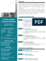 CV Moderno