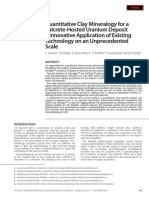 Quantitative Clay Mineralogy For A Calcrete-Hosted Uranium Deposit - Innovative Application of Existing Technology On An Unprecedented Scale