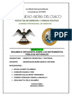 GRUPO Nro 07 - RESUMEN - INSTRUMENTOS PÚBLICOS NOTARIALES