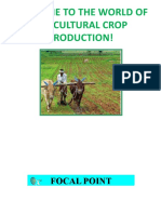 Focal Point - Agri-Crop Production