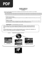 Prueba Sumativa 6° CCNN