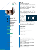 Plantilla de Curriculum Con Foto 97 2003