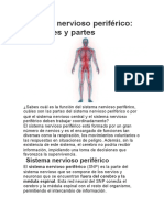 Sistema Nervioso Periférico