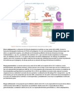 ¿Cuáles Son Los Efectos Adversos Que Producen Los AINES? (Figura 31-3)