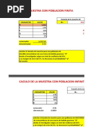 Calculo Muestra Poblacional-3