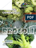 Perfil Comercial Brocoli