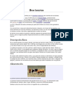 Textos Informativos