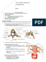 Week 5 PDF