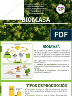 La Biomasa Ingeniería Ambiental