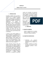 Informe 8 - Cationes III