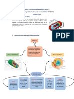 Taller Microbiologia Las Bacterias