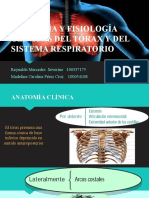 Anatomía y Fisiologia Del Pulmón