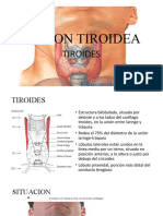 Region Tiroidea