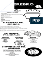 Funciones Del Cerebro