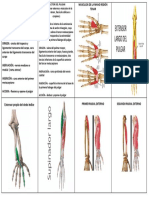 Mano Region Tenar Tarjetas PDF