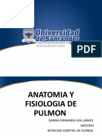 Anatomia y Fisiologia de Los Pulmones