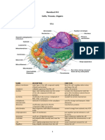 Handout # 6 Cells, Tissues, Organs