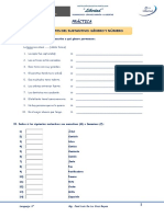 Com 3° Práctica Accidentes Sustantivo Ii PDF