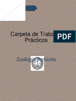 Carpeta Artropodos Parte 1 PDF