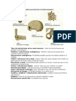 Tipos de Articulaciones de Los Seres Humanos