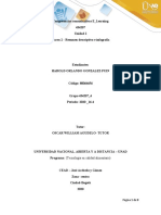 Tarea 2 - Resumen Descriptivo e Infografía