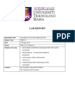 Vane Shear Test Report PDF