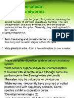 Class Nematoda - The Roundworms