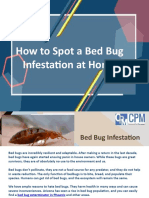 How To Spot A Bed Bug Infestation at Home