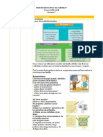 Semana 7 Diversidad de Familias