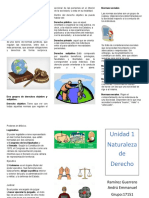 Triptico de Derecho Final