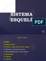 Sistema Esquelético