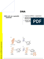 DNA Acts As A Genetic Material