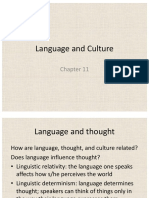 Language and Culture: Chapter 11