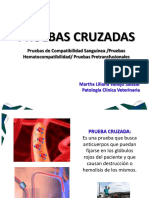 Pruebas Cruzadas 2020 PDF