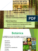 Importancia de La Botanica y Celula