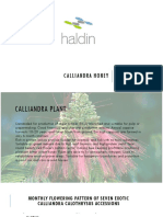 CALLIANDRA - Andy Chahyadi PDF