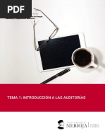 Tema 1. - Introducción A Las Auditorías PDF