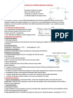 Physiologie Du Système Nerveux