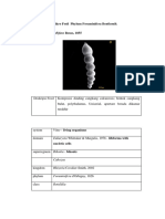 ALBUM FOSIL FORAMINIFERA BENTHONIK-dikonversi