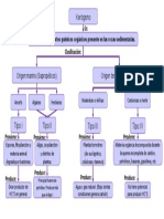 Tipos de Kerogeno