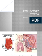 Respiratory System: Anatomy and Physiology