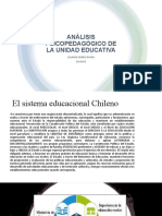 Análisis Psicopedagógico de La Unidad Educativa