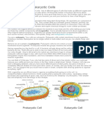 Prokaryotic and Eukaryotic Cells