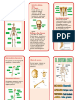 Triptico Experimento Congreso