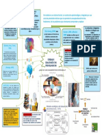 Mapa Mental Unidad Uno