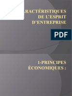 Les Caractéristiques de L'esprit D'entreprise