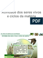 8.1. Atividade Dos Seres Vivos e Ciclos Da Matéria