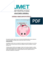 SistemaHemolinfopoyetico AnatomíaGeneral